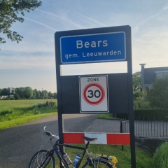Bears-gem.-Leeuwarden