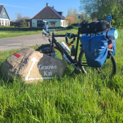 Grauwe-Kat-gem.-Sudwest-Fryslan