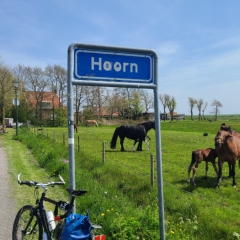 Hoorn-gem.-Terschelling