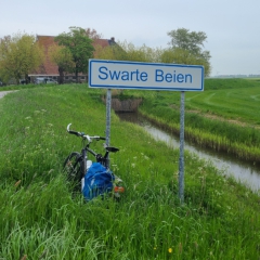 Swarte-Beien-gem.-Sudwest-Fryslan