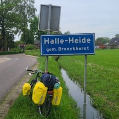 Halle-Heide-gem.-Bronckhorst