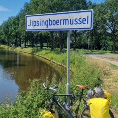 Jipsingboermussel-gem.-Westerwolde
