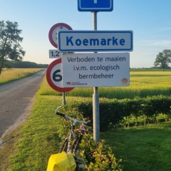 Koemarke-gem.-Westerwolde