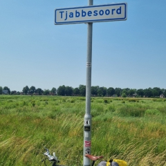 Tjabbesoord-gem.-Westerwolde