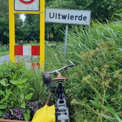 Uitwierde-gem.-Eemsdelta