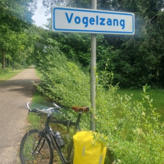 Vogelzang-gem.-Westerwolde