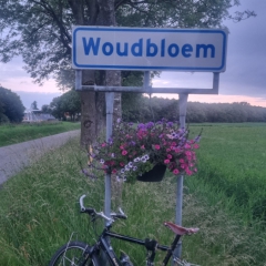 Woudbloem-gem.-Midden-Groningen-wit